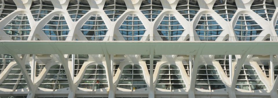 Valencia, la Città della Scienza, Santiago Calatrava